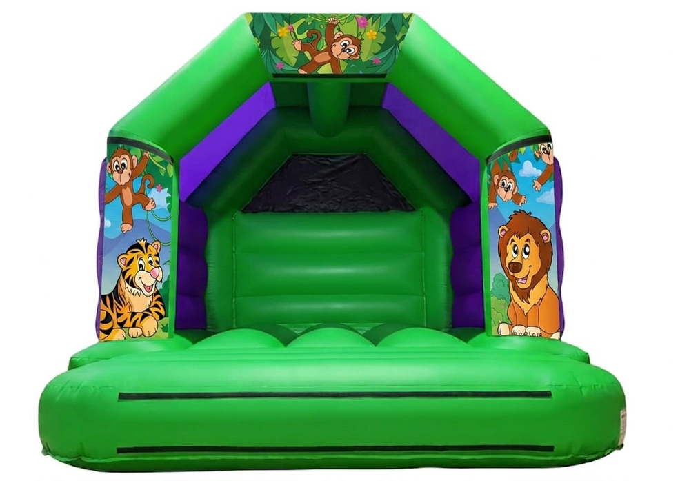 15x11 Bouncy Castle with raincover